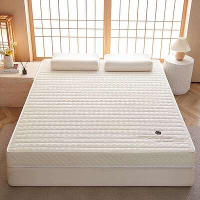 加褥厚胶床垫家用软子1.乳8米m海绵床垫BZB单人垫学生宿舍床垫铺