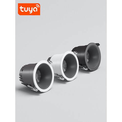 Tuya涂鸦智能筒灯射灯洗墙灯缓亮缓灭ZigBee无极调光远程HomeKit