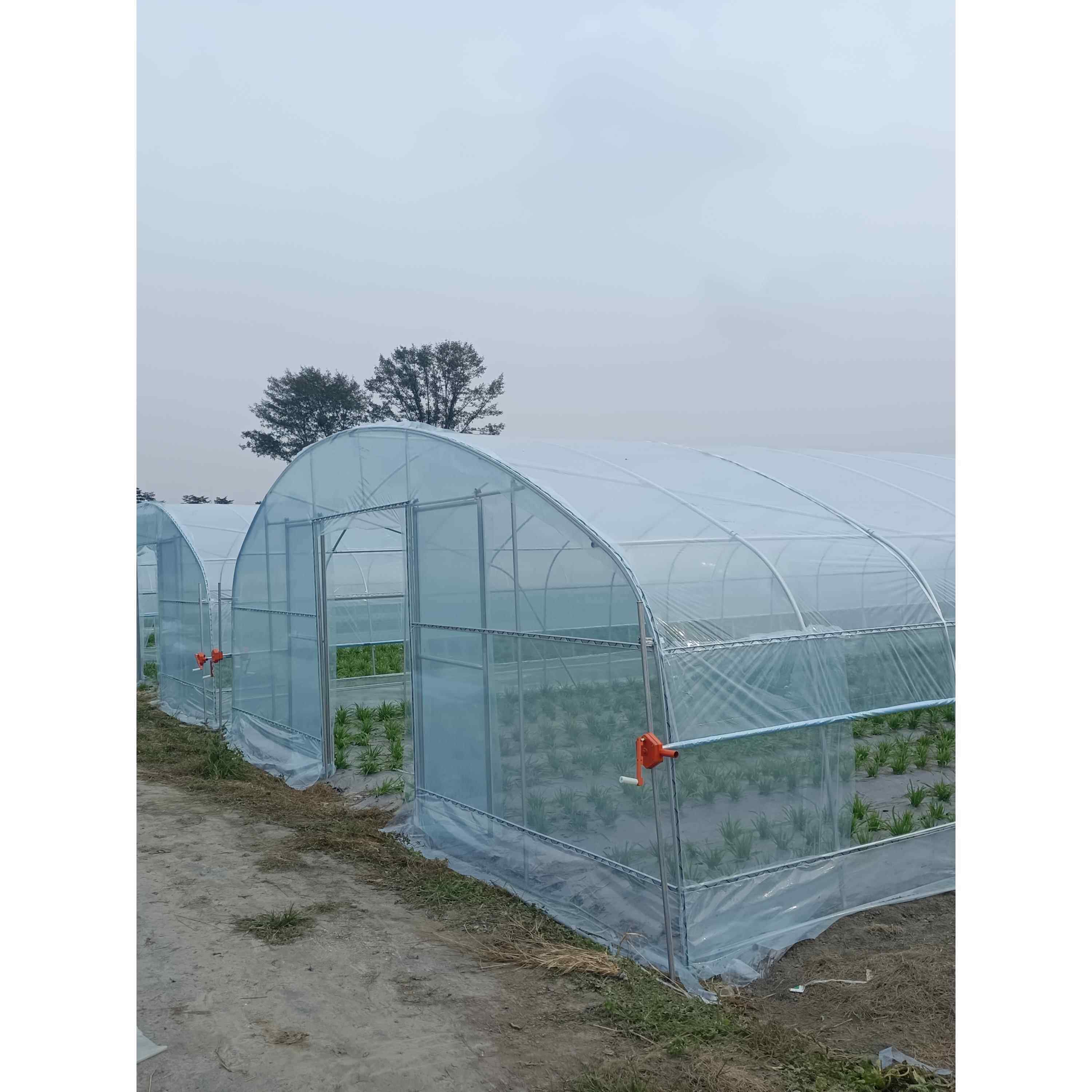 花卉多肉椭圆管养殖养猪蔬菜温室大棚骨架钢管全套花棚养殖大棚