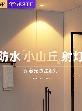 内嵌式led筒灯嵌入式防水射灯IP65防眩浴室卫生间厨房酒店暗装LED
