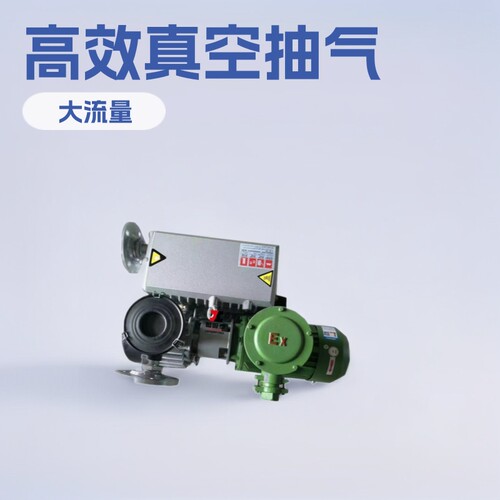 安阳气体抽真空装置 gis变压器真空抽气机组 抽真空泵设备XD100