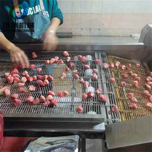 全自动冻干草莓脆裹糖机器 高产量油炸脆枣裹糖设备配套冷却线