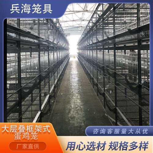 层叠式框架蛋鸡笼养殖场大层叠框架式鸡笼自动化养殖鸡笼厂家
