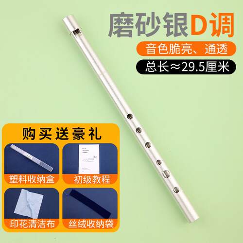 正品属宣和乐爱尔兰口哨初学者入门金级六孔C键d键高音录音机性能