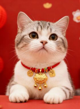 宠物新年保色长命锁项圈春节猫咪狗金色项链红色装饰品铃铛平安锁