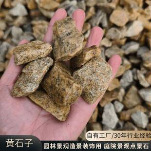 柏坡黄石子黄色碎石庭院铺装黄石子花园造景园林装饰不规则砾石