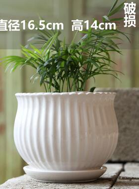 TEMU蝴蝶兰花盆陶瓷清仓大号花瓶