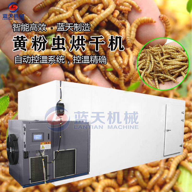 黄粉虫烘干机空气能热泵活体面包虫烘烤机无骨虫大麦虫烘干设备