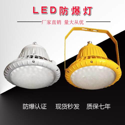 BAD85-M免维护LED防爆灯50W80W100W 喷砂房加油站圆形投光灯HRD92