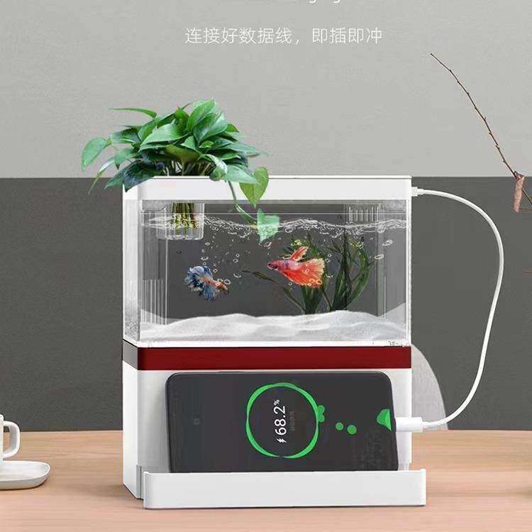 SQG小鱼缸小型桌面创意生态缸微景观免换水斗鱼缸迷你水族箱