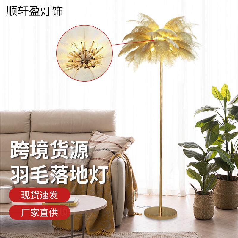 亚马逊羽毛落地灯客厅感北欧氛围装饰灯网红鸵鸟毛卧室床头灯