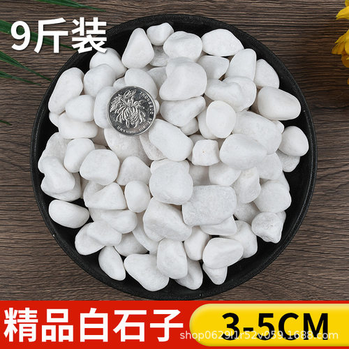 白石子新鹅卵石雨花石多肉盆栽铺面庭院造景花盆装饰白色小石头