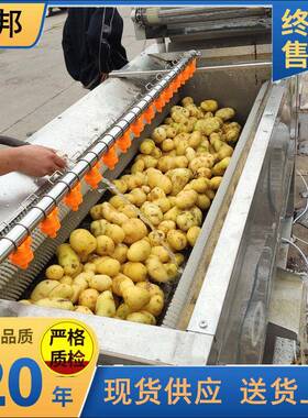 全自动毛刷土豆清洗机 毛辊红薯土豆清洗去皮机 工业大型洗姜机