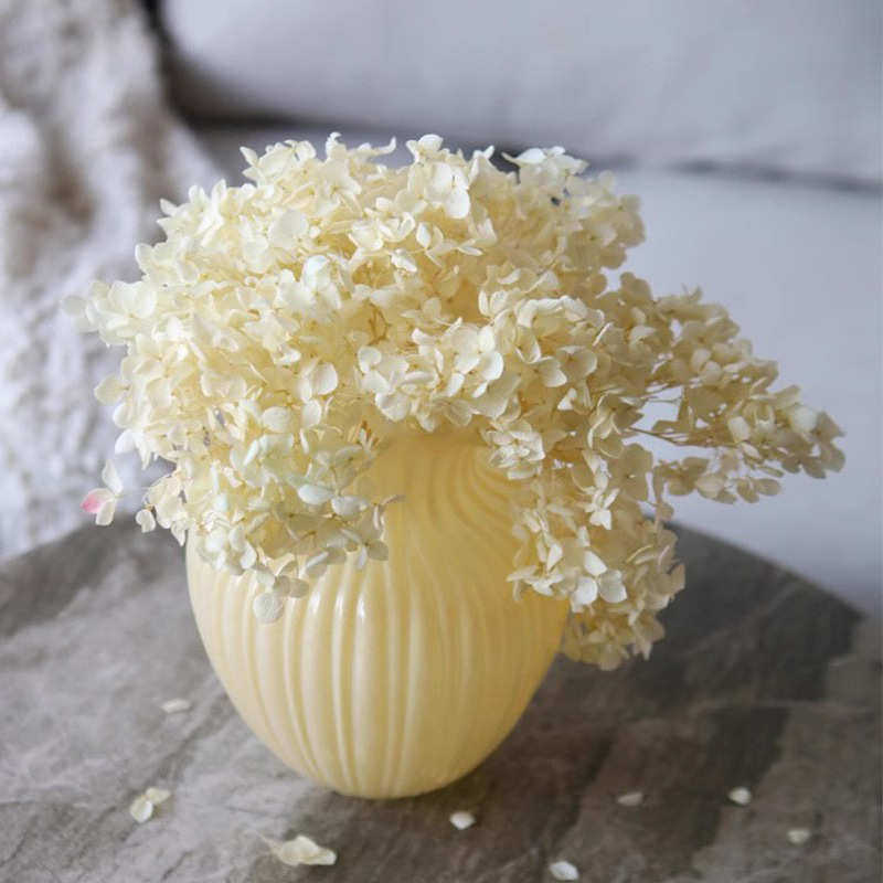 北欧现代简约透明玻璃芬顿浪口高级感花瓶家用水培客厅桌面摆件,家居饰品,花瓶,淘宝优惠券,粉丝福利购,淘宝优惠卷