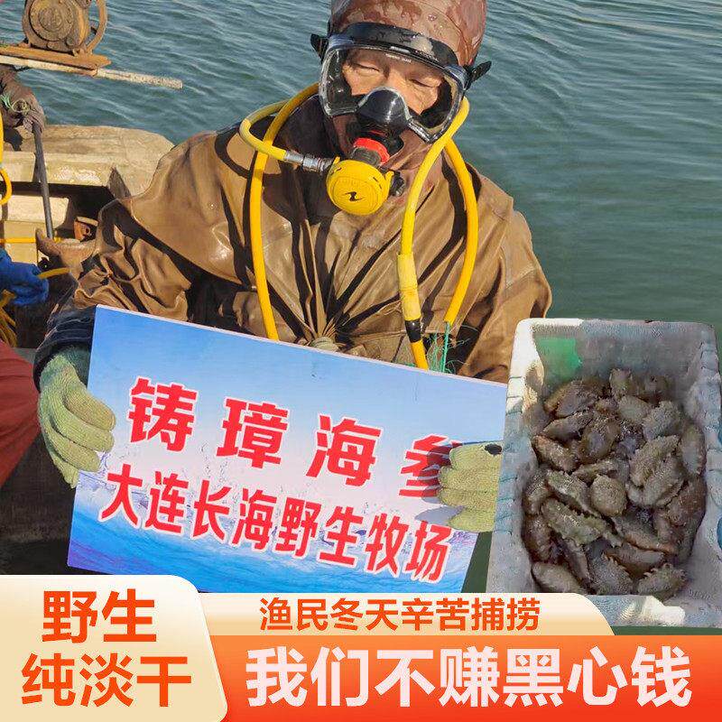大连海参淡干海参干货500g特价大连辽参底播野生海参礼盒铸璋