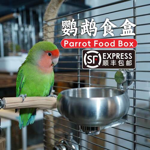 中大型鹦鹉食盒不锈钢鸟食杯内挂保温箱底网食杯喂食碗防咬食盆
