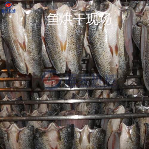 气能鱼烘干机空腊热风循LT-J环娃娃鱼设烘干房马鲛鱼鲅鱼干烘干备