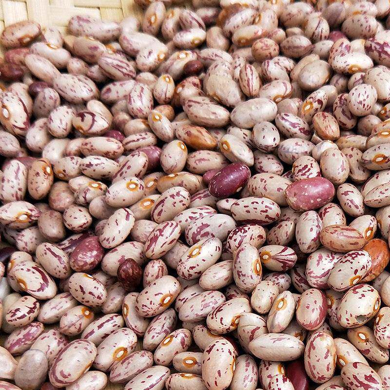 花豆贵州新农家自种特产花生豆米酸菜豆米四季豆干豆500g新豆