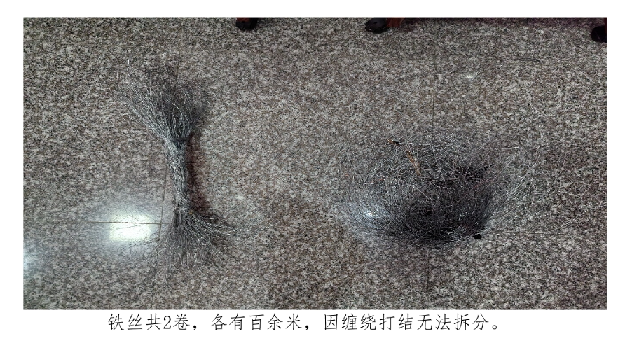 4月20日杭州市锂电池、带夹子的红色电线、铁丝、绝缘杆、带报警器和信号接收器的升压器网络拍卖公告