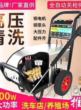 高压FLS-1010刷车水泵洗车店用自吸洗车高压洗机养车家水泵殖场冲