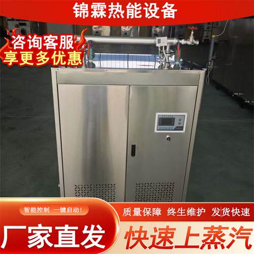 桥梁建筑养护蒸汽锅炉 纺织印染加工用360KW电加热蒸汽发生器设备