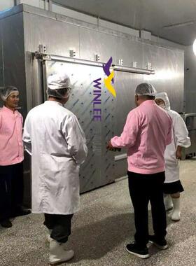 冻肉海鲜快速解冻设备 冻品保鲜解冻机抑制细菌  厂家直销
