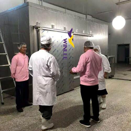 冻肉海鲜快速解冻设备 冻品保鲜解冻机抑制细菌  厂家直销