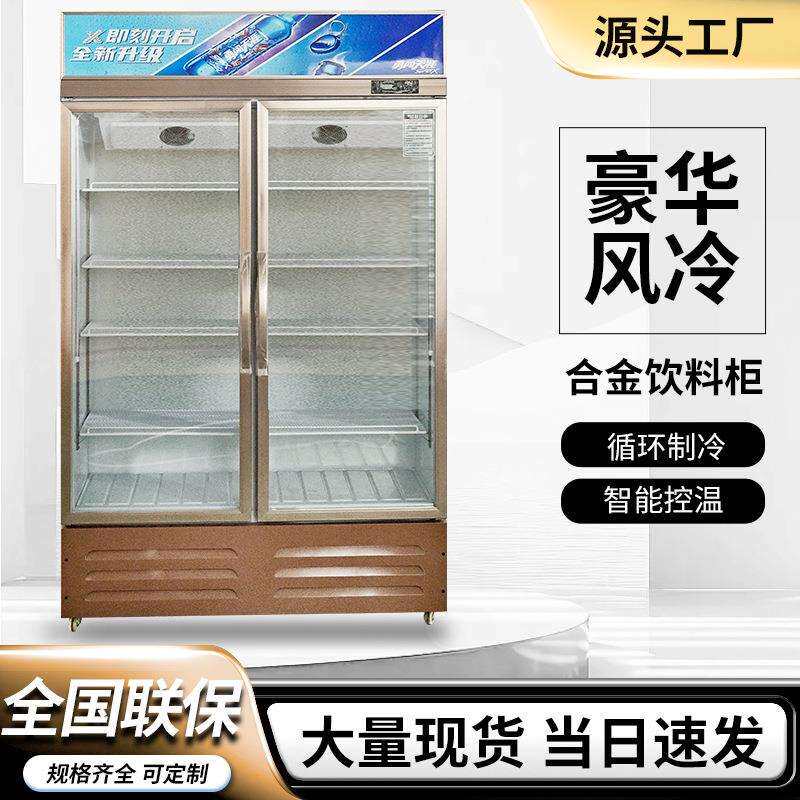 专业跨境展示柜冰柜商用饮料柜啤酒柜保鲜柜冷藏