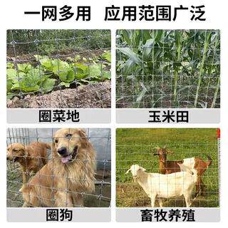 镀锌铁丝网围栏栅栏户外养殖防护钢丝网拦牛羊圈果园鱼塘铁网格网