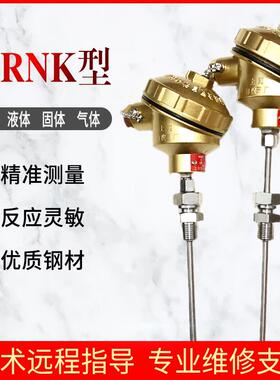WRNK-321铠装热电偶,快速响应K型热电偶 PT100可弯曲测温探头