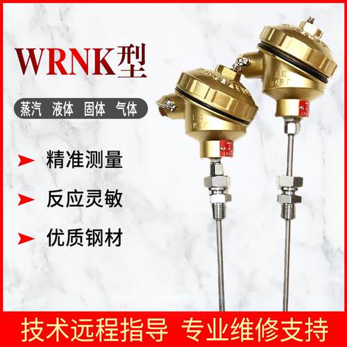 WRNK-321铠装热电偶,快速响应K型热电偶 PT100可弯曲测温探头