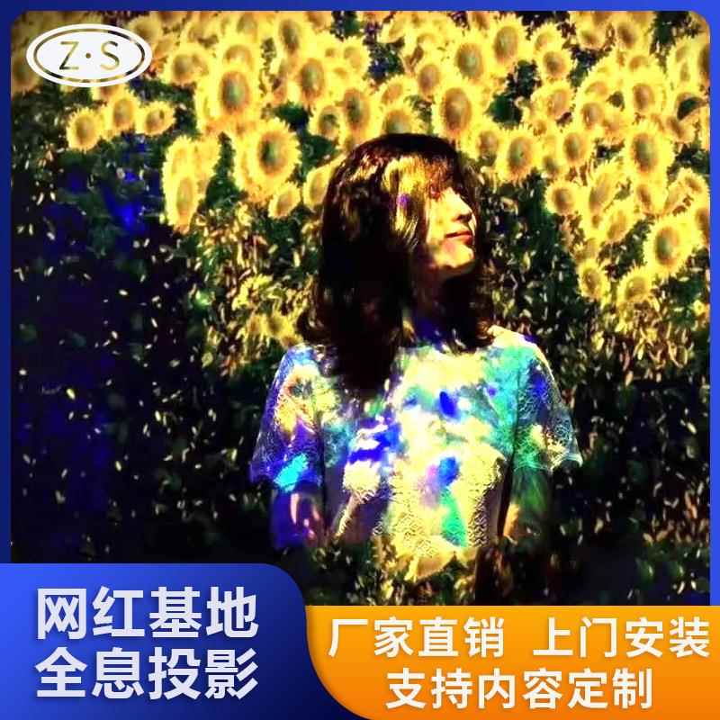 5D全息投影网红打卡基地艺术展览整场方案策划沉浸式互动投影厂家