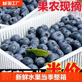 云南蓝莓新鲜水果当季整箱蓝梅鲜果现摘高山怡颗孕妇70g单盒