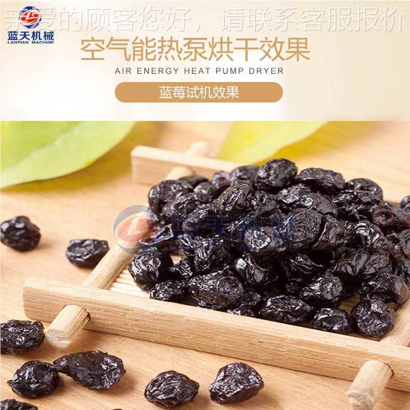 干蓝莓烘机 空气能蓝莓莓果脯蓝脱干烘干房 大型水LT-LMHGJ果干水