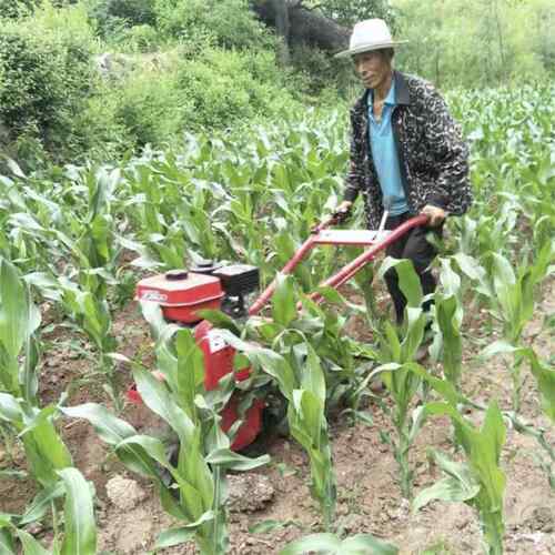 链轨式独轮耕地机 多功能开沟松土翻地柴油