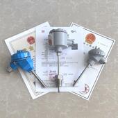 WZPK 240防爆热电阻温度计PT100温度传感器变送器耐磨热电偶 136s