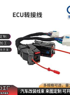 适用于哈弗长城外挂ECU电脑OBD转接线内饰升级改装线束汽车线束