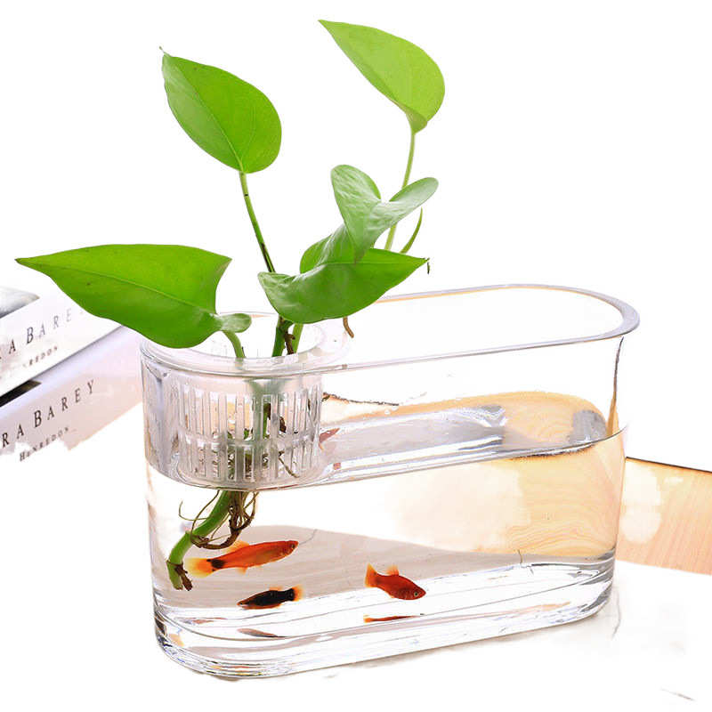 小型玻璃缸桌面书桌办公室s鱼缸造景书架小缸玻璃斗长方形迷你