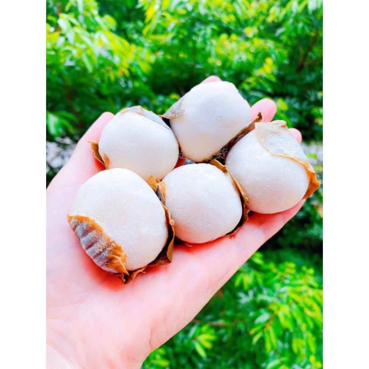 四川特产花生芝麻迷你甜叶儿粑怀远三绝非宜宾糯米粑早餐儿童妇女