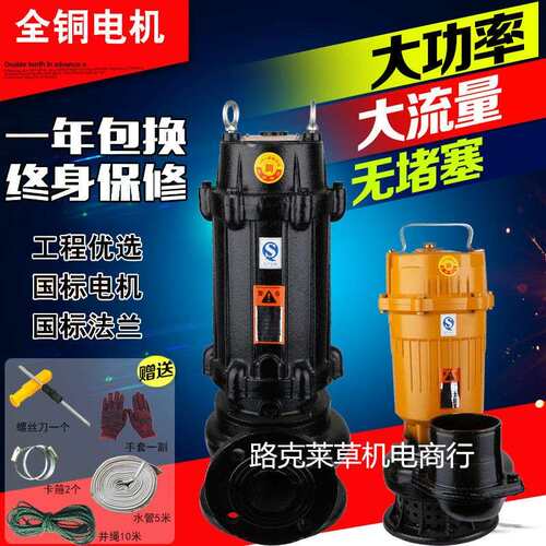 上海仁明排污泵抽水潜水泵220V380V化粪池无堵塞污水泵小型泥浆泵