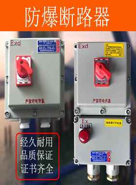 防爆开关三相漏电32A/63A空开防爆断路器BDZ52-2P3P+N4P配电装置