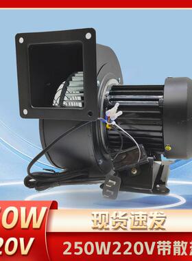 小型工频离心风机140/150FLJ2NYS5-2 250W220V拱门气模风机380V