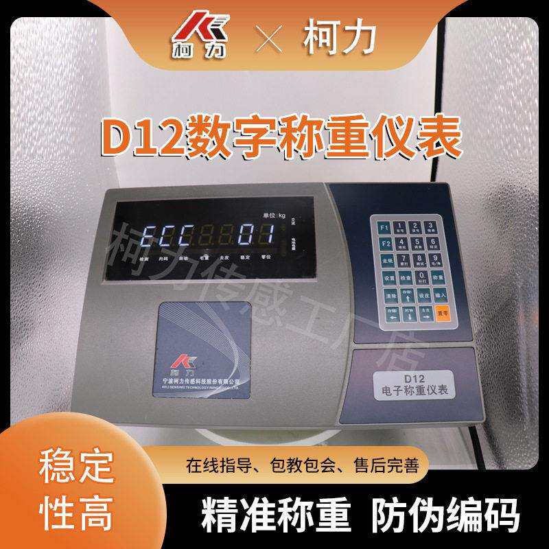 D12数字地磅称重显示器80吨100吨120吨带打印仪表/电子汽车衡