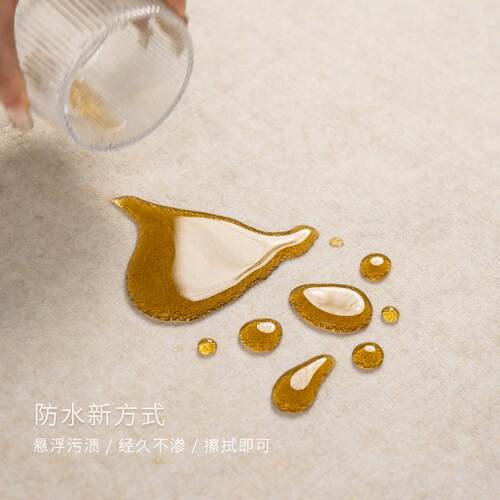 地毯客厅2025新款卧室奶油风纯色防水免打理地垫免洗可擦沙发茶几