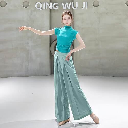 现代舞短袖女新款高领上衣古典舞形体艺考服套装修身中国舞练功服