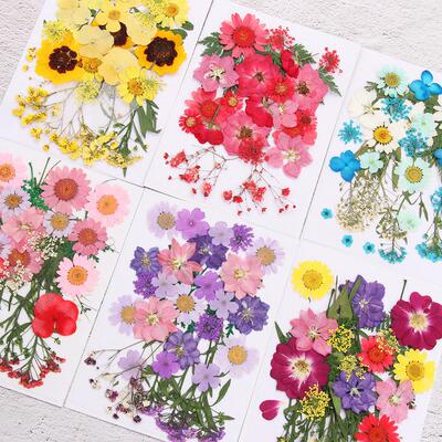Dried Flowers UV Resin Decorative Natural Flower ers 3D Pres