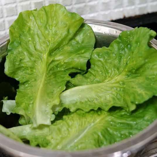 仿真蔬菜模型烧烤生菜叶仿真叶子摆盘芭蕉叶绿植软胶荷叶垫盘餐桌