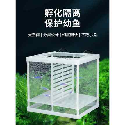 德国孔雀鱼繁殖盒鱼缸隔离网内孵化盒幼鱼小鱼鱼苗生产透明分离隔