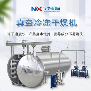 宁兴低温水果蔬菜冻干设备草莓榴莲真空冻干设备大型果蔬冻干机