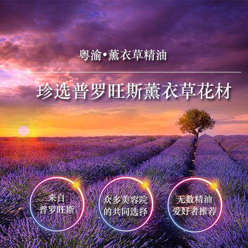 高档单方薰肤衣草精油部按摩面助眠护5天0ml正品纯植物淡印护肤脸